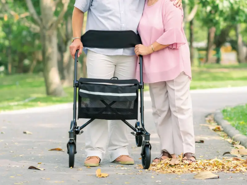 Carbon Rollator